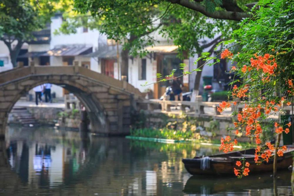 丧尸围城